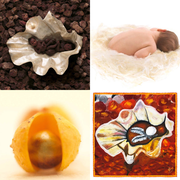 "Shell and Pearl" by Anne Geddes